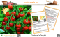 Preview: Tomate * Gardener's Delight * Cherrytomate * 20 Samen